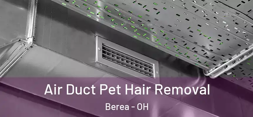 Air Duct Pet Hair Removal Berea - OH
