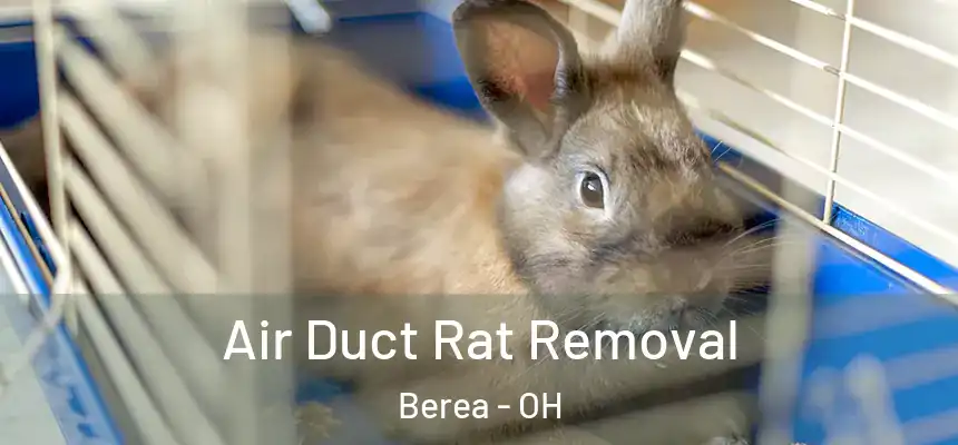  Air Duct Rat Removal Berea - OH