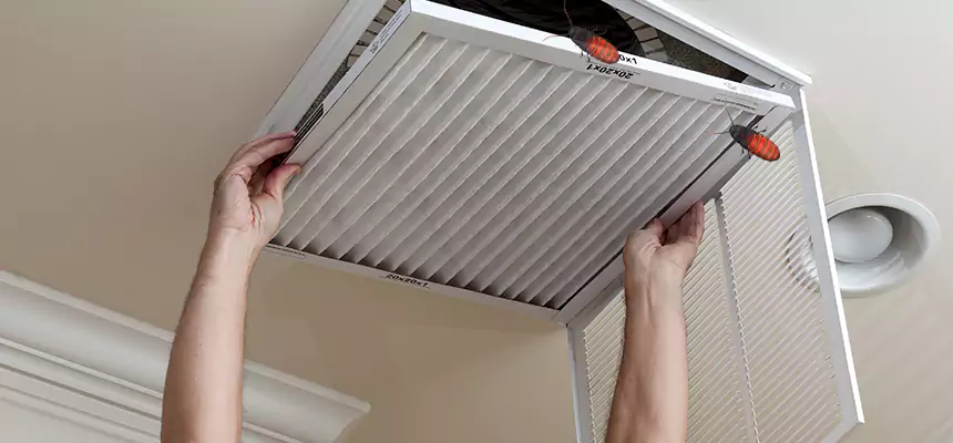 Preventive Cockroach-Proofing for Ducts in Berea