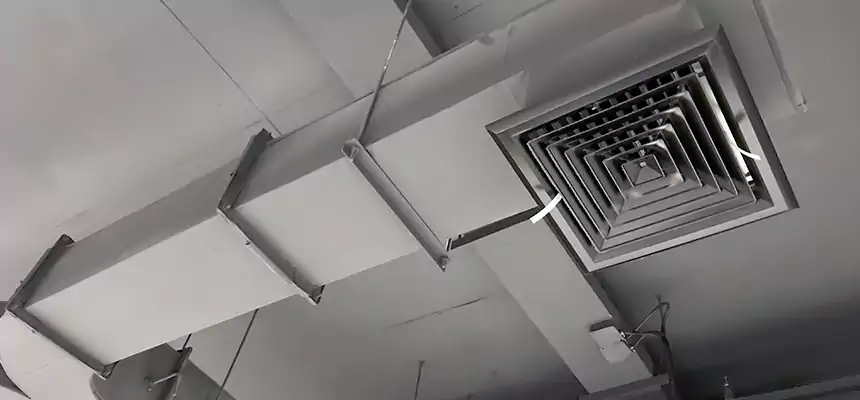 Restorative Allergy Relief Vent Cleaning – Coil, Blower & Housing Detail in Berea