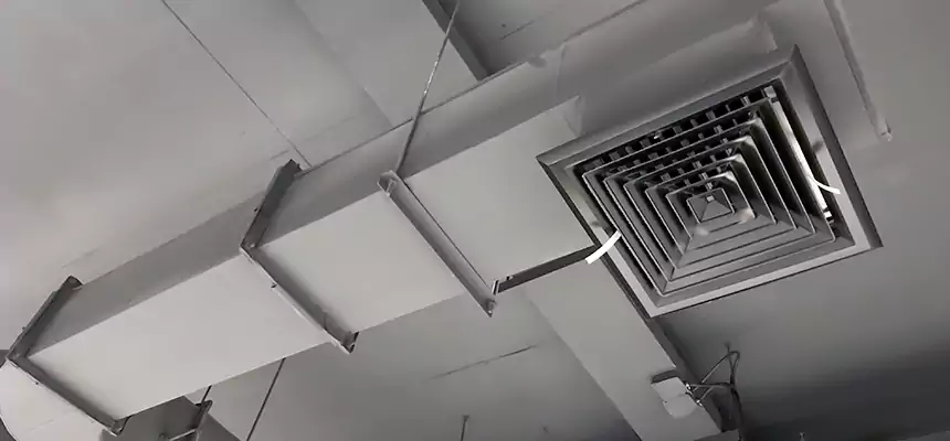 Our Pest Removal From Ducts Services in Berea, OH