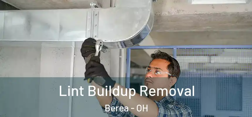  Lint Buildup Removal Berea - OH