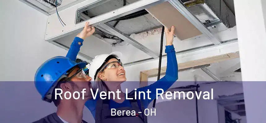 Roof Vent Lint Removal Berea - OH