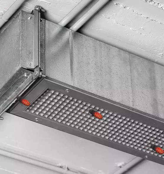 About Air Duct Cockroach Removal in Berea, OH