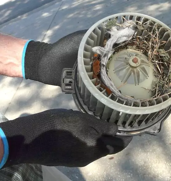 About Air Duct Mice Removal in Berea, OH