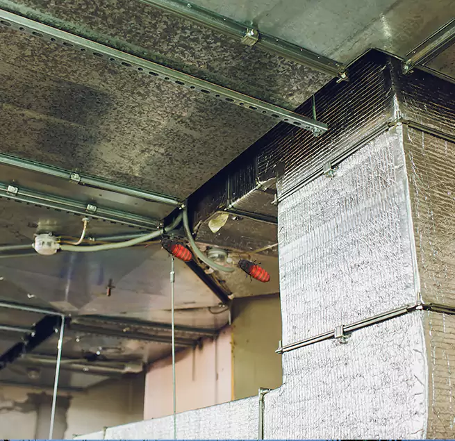 Why Homeowners & Businesses Trust Us in Berea, OH?