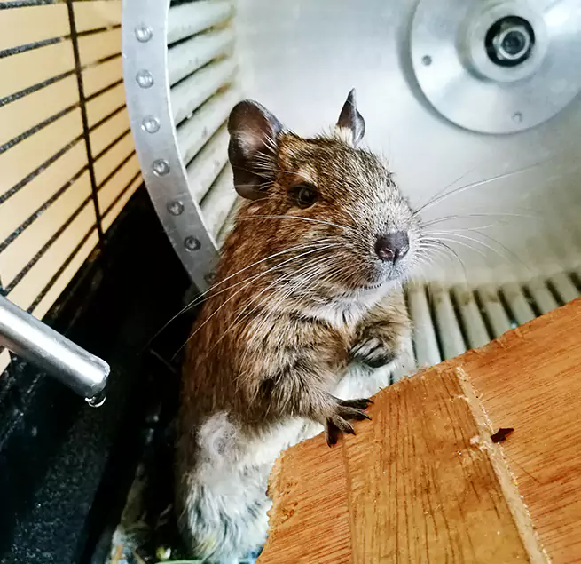 Why Homeowners & Businesses Trust Us Berea, OH