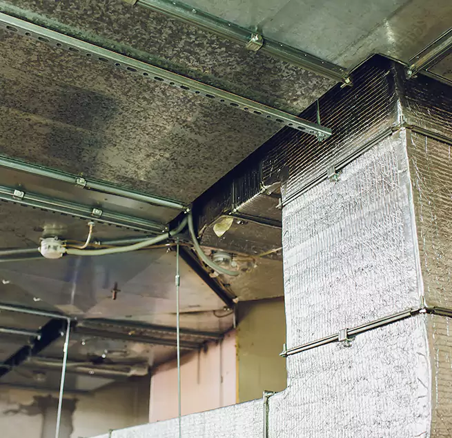 Why Homeowners & Businesses Trust Us in Berea, OH?